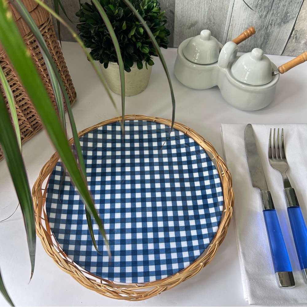 🌴Picnic Melamine Classic Gingham Blue and White Dinnerware | Set of 4